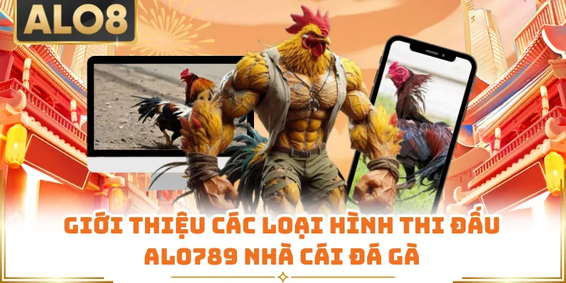 Giới thiệu các loại hình thi đấu ALO789 nhà cái đá gà