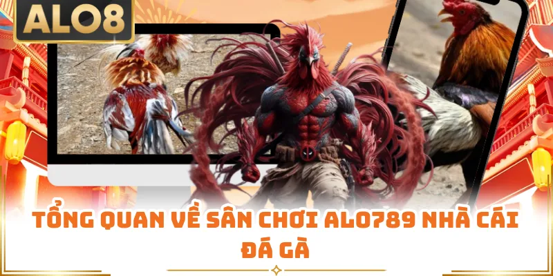 Tổng quan về sân chơi Alo789 nhà cái đá gà