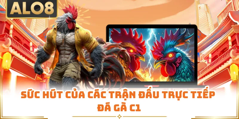 Sức hút của các trận đấu trực tiếp đá gà C1